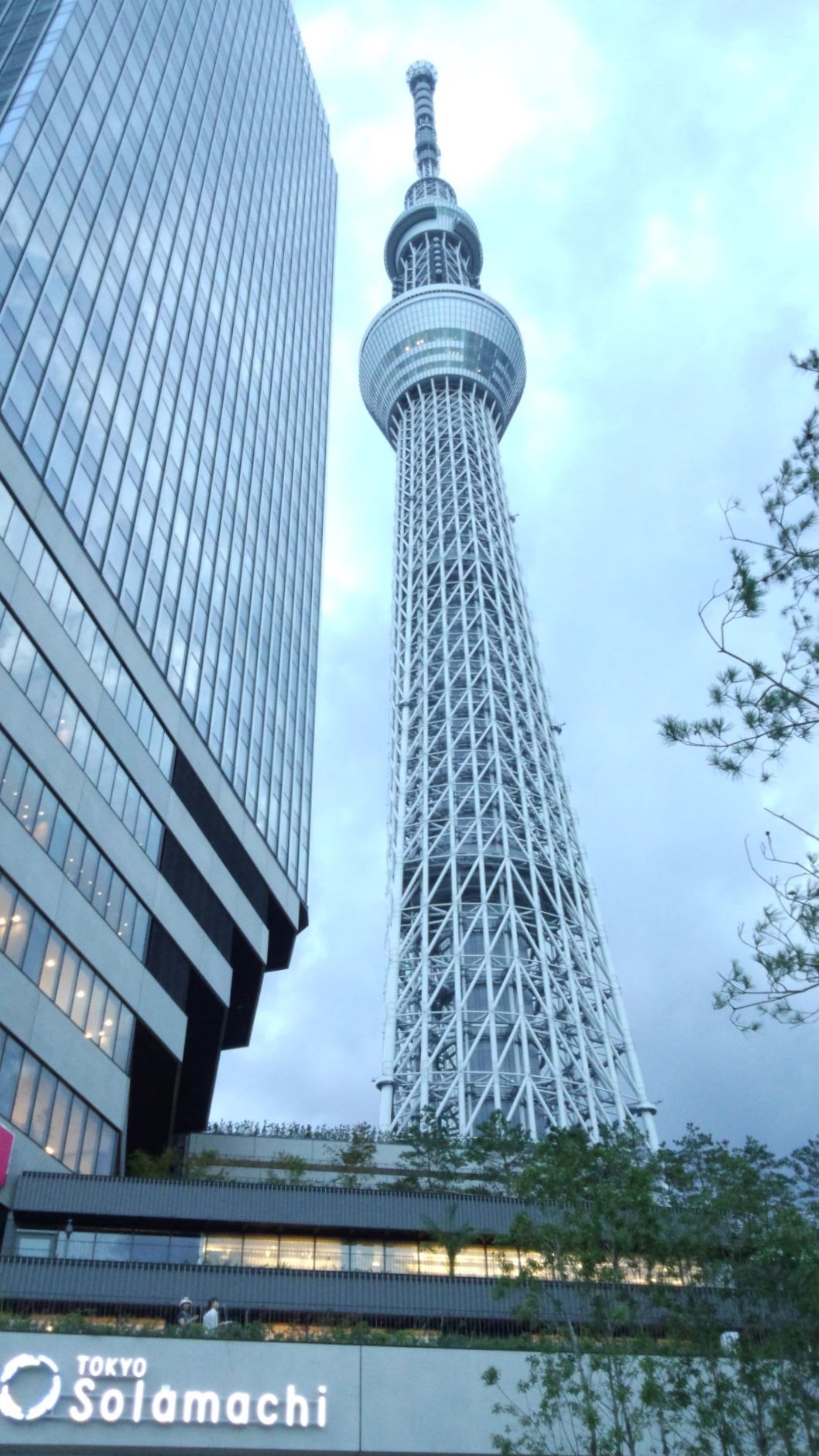 東京スカイツリー 施設内食事 東京スカイツリーライブカメラ Net